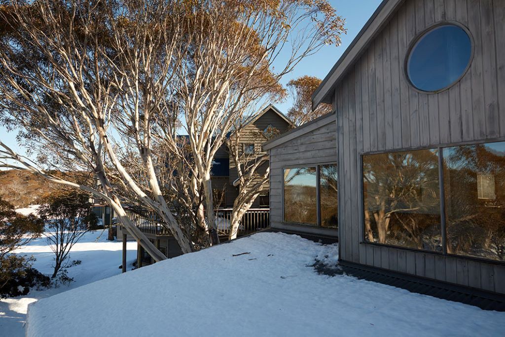 Photo of Others in Dargo