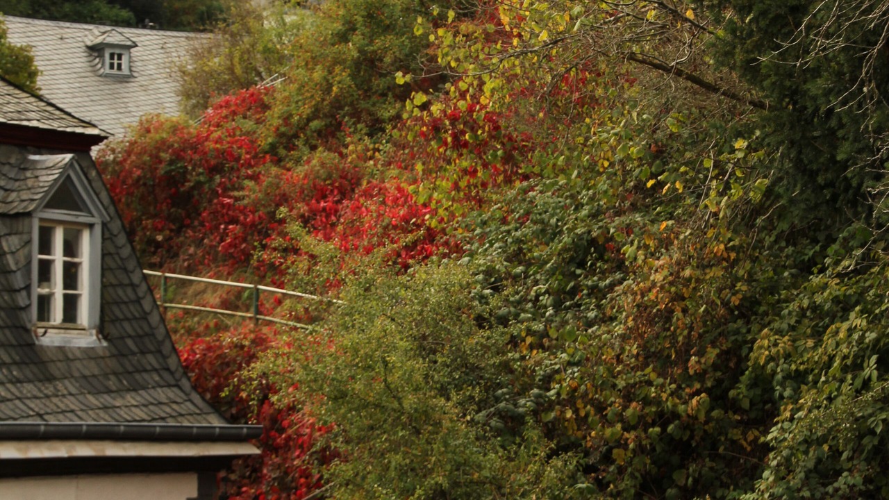 Photo of Outdoor in Monschau