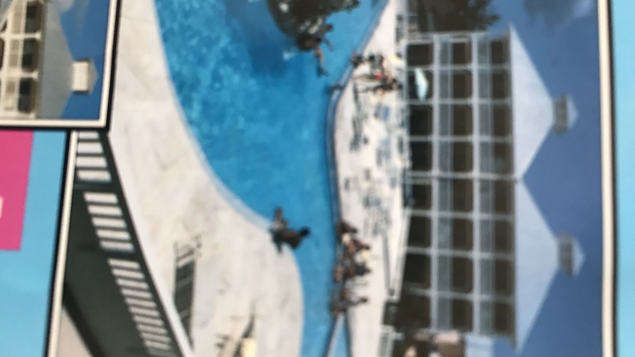 Photo of Outdoor in Colliers Bay