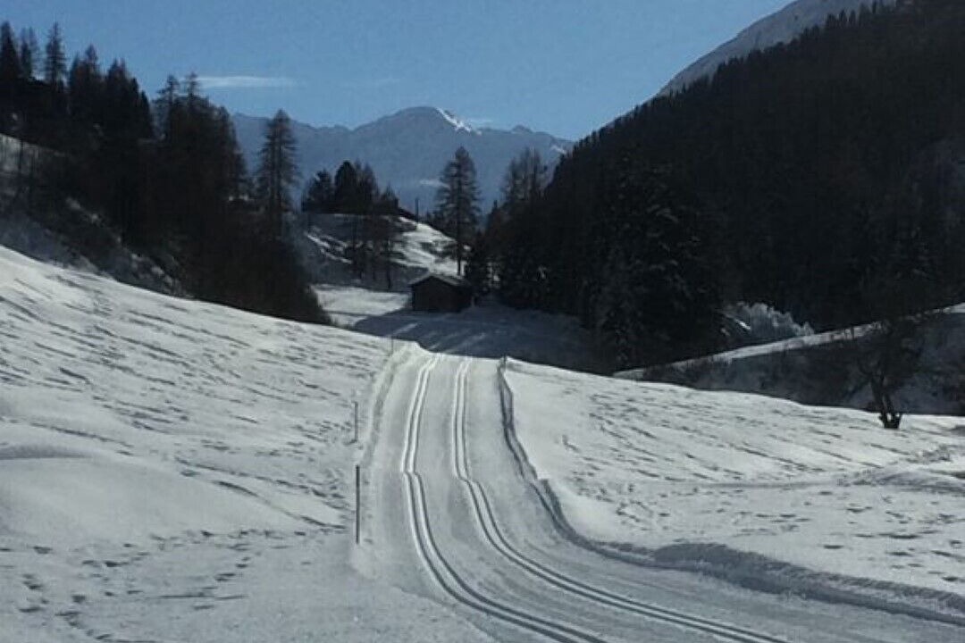 Photo of Others in Davos-Dorf