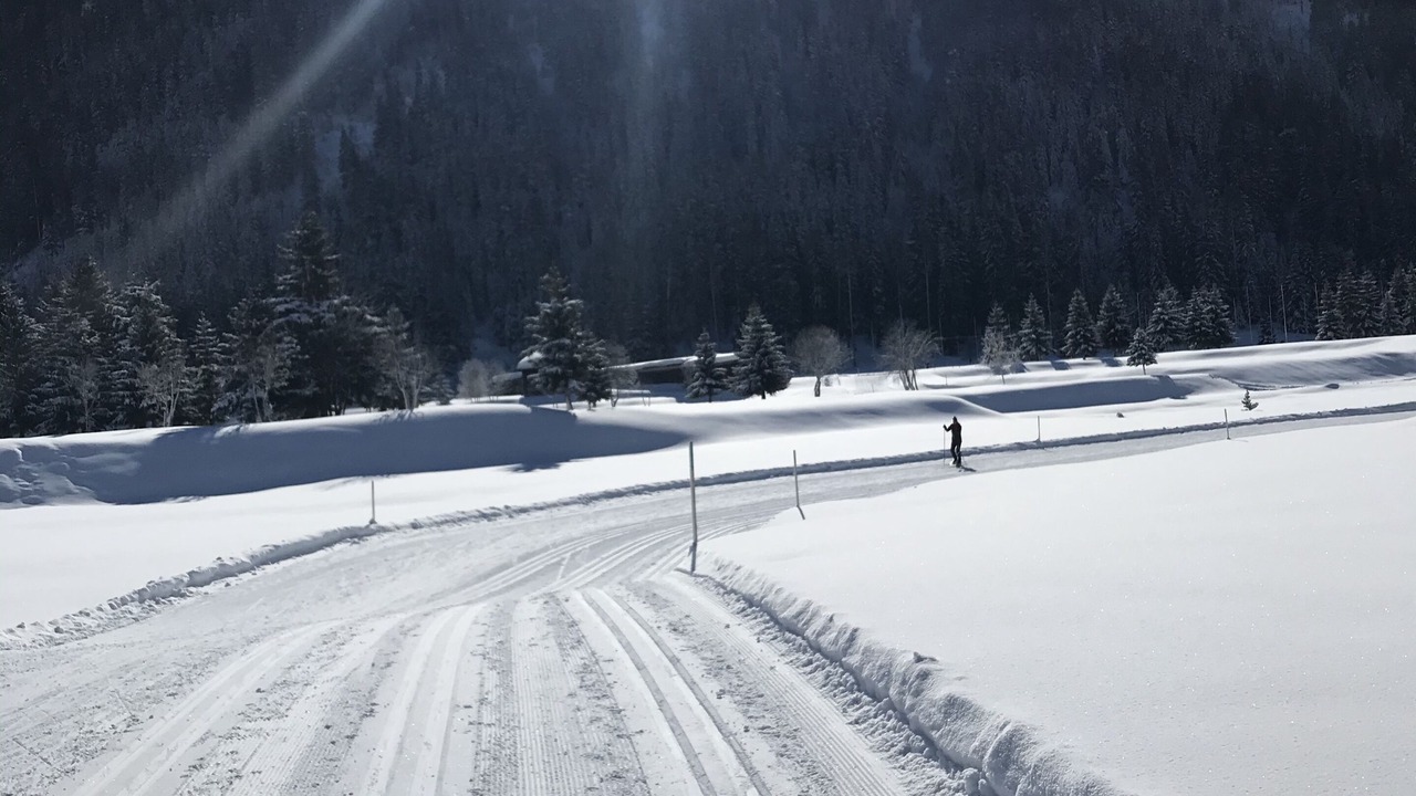 Photo of Others in Davos-Dorf