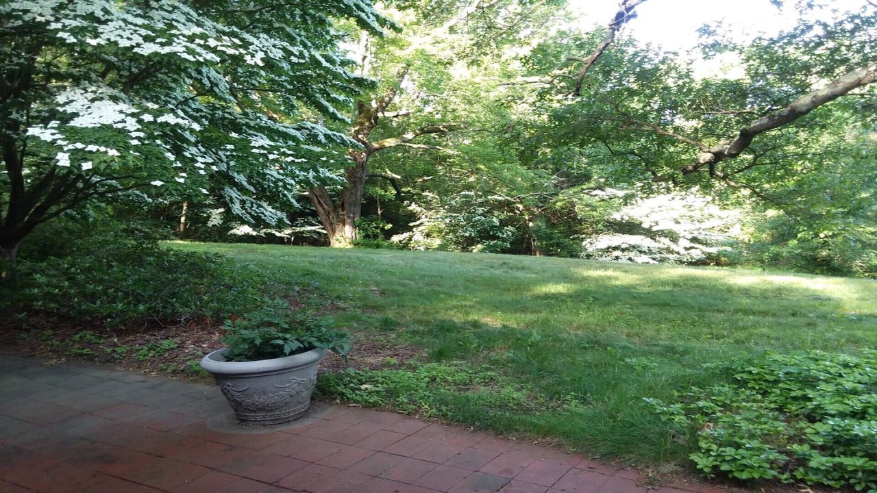 Photo of Others in Shelton