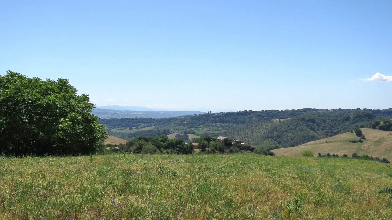 Photo of Others in Bagnoregio