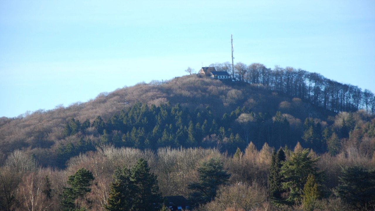Photo of Others in Koenigswinter