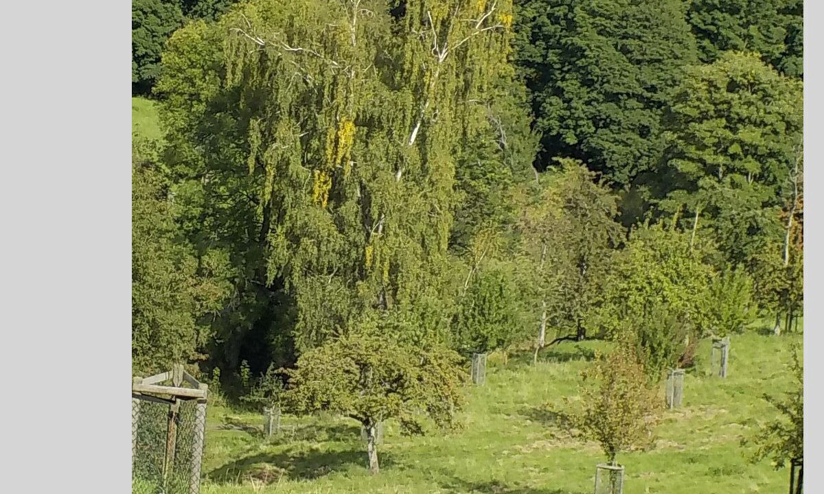 Photo of Outdoor in Koenigswinter