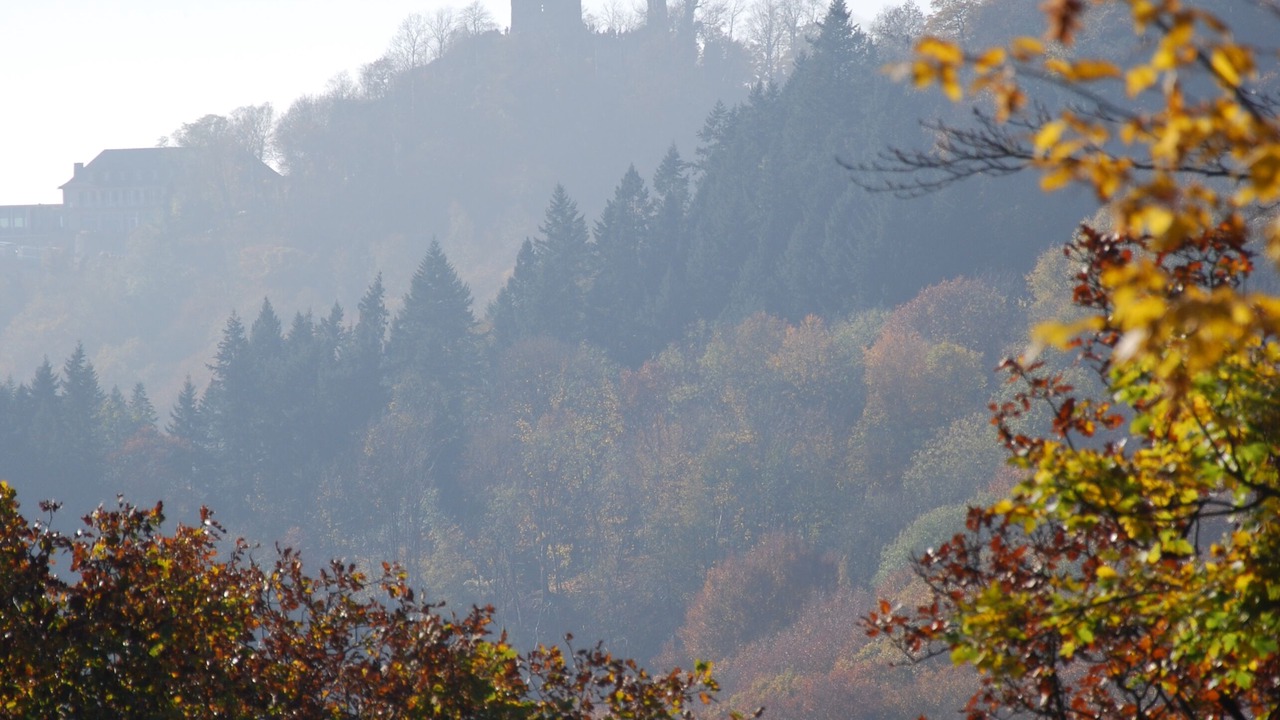 Photo of Outdoor in Koenigswinter