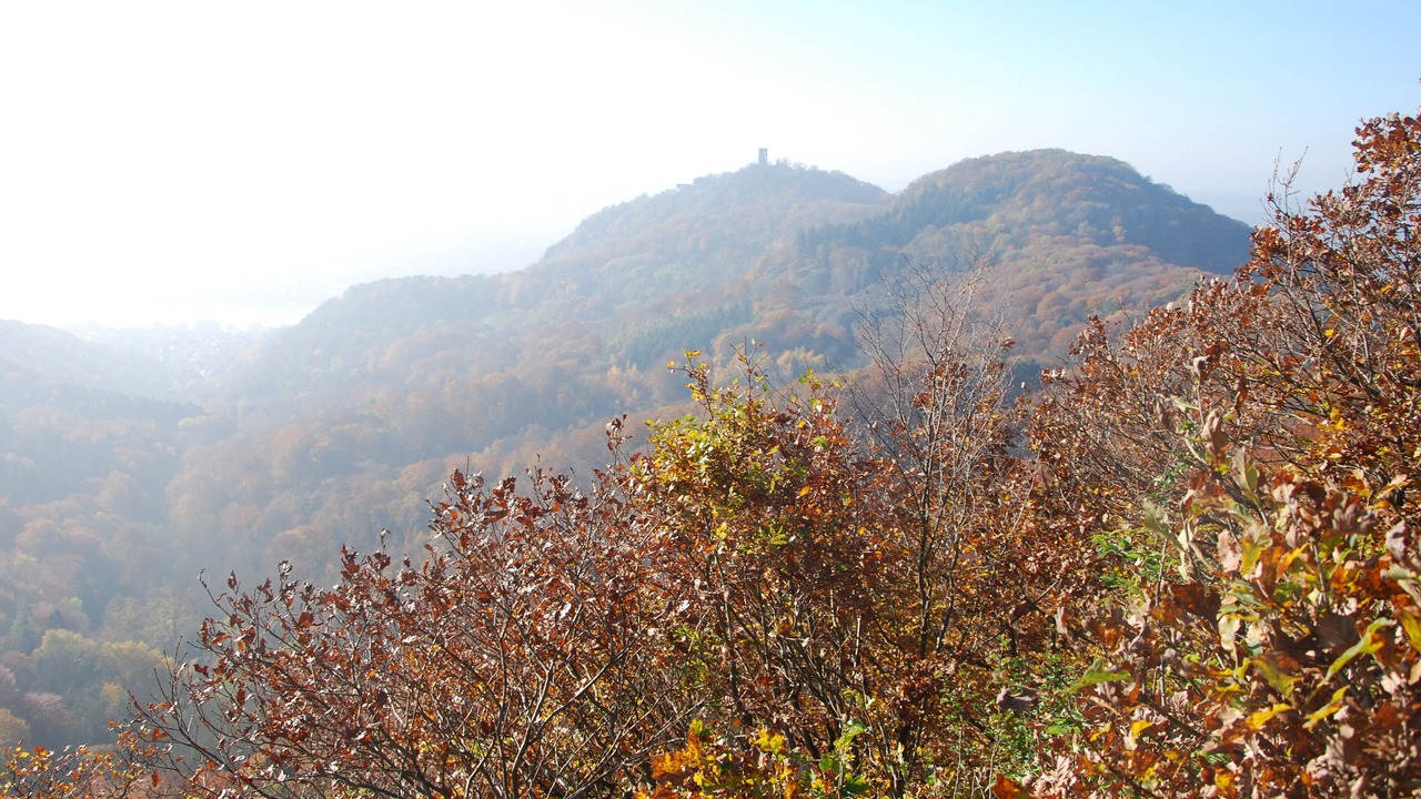 Photo of Outdoor in Koenigswinter