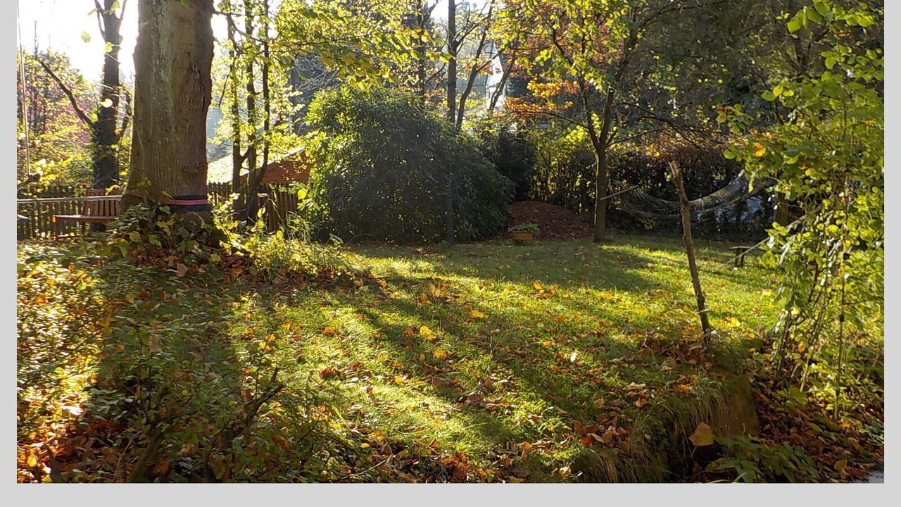 Photo of Outdoor in Koenigswinter