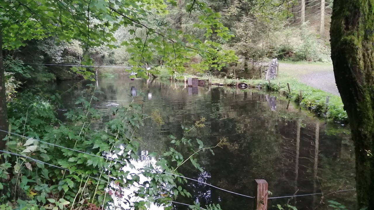 Photo of Outdoor in Hildfeld