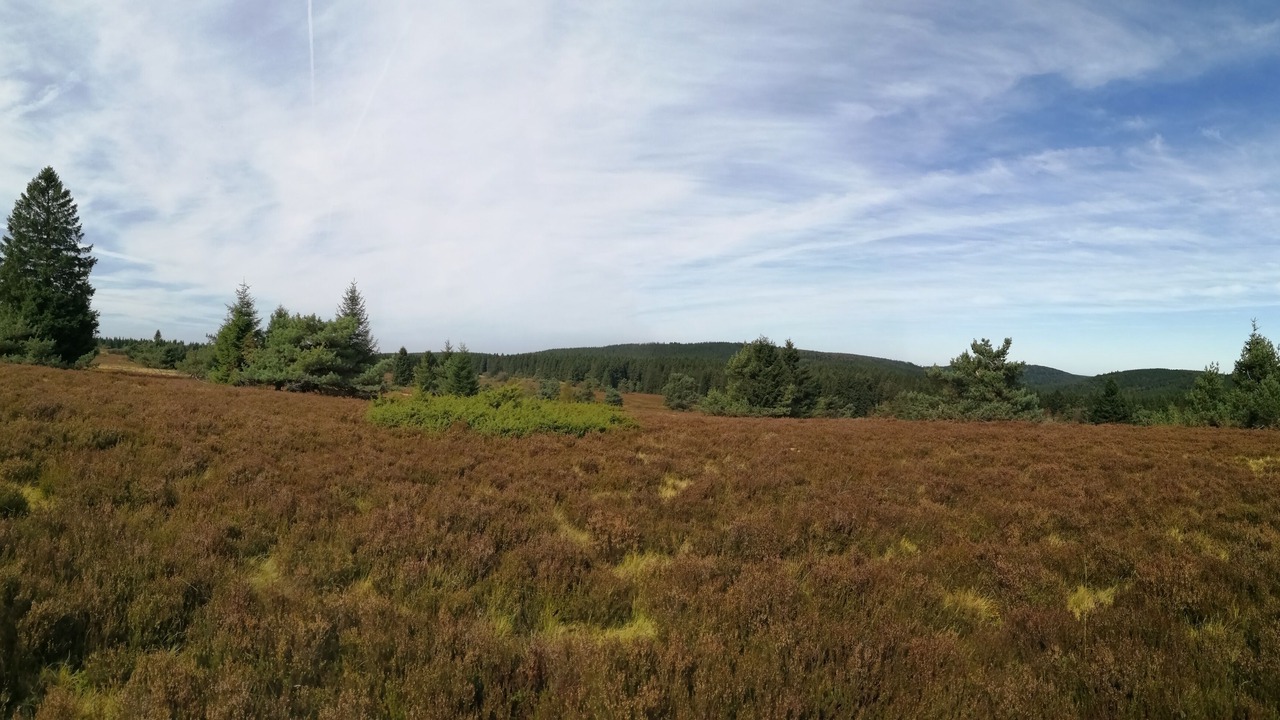 Photo of Outdoor in Hildfeld