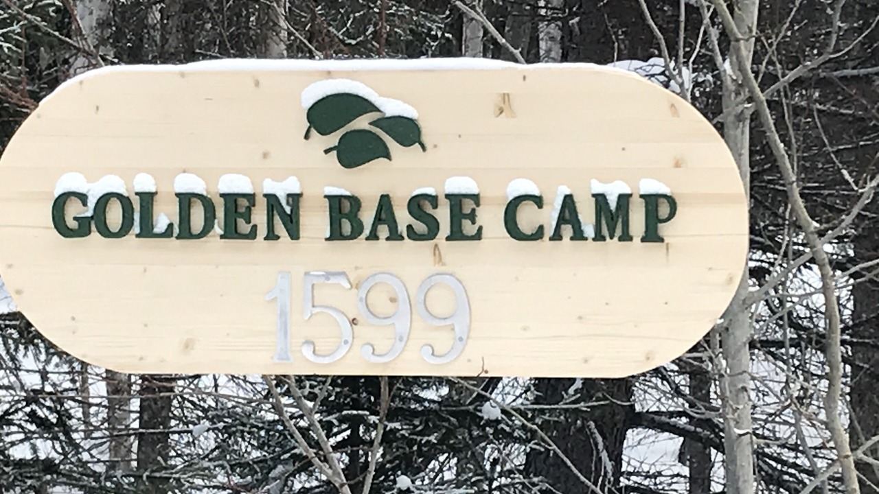 Photo of Outdoor in Golden