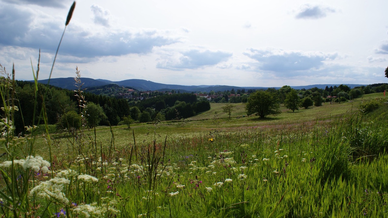 Photo of Outdoor in Sankt Andreasberg