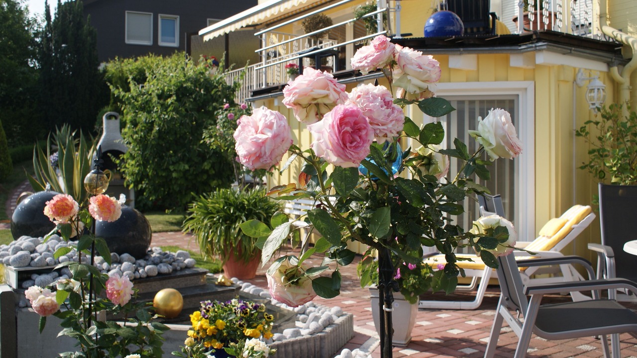 Photo of Outdoor in Sankt Andreasberg