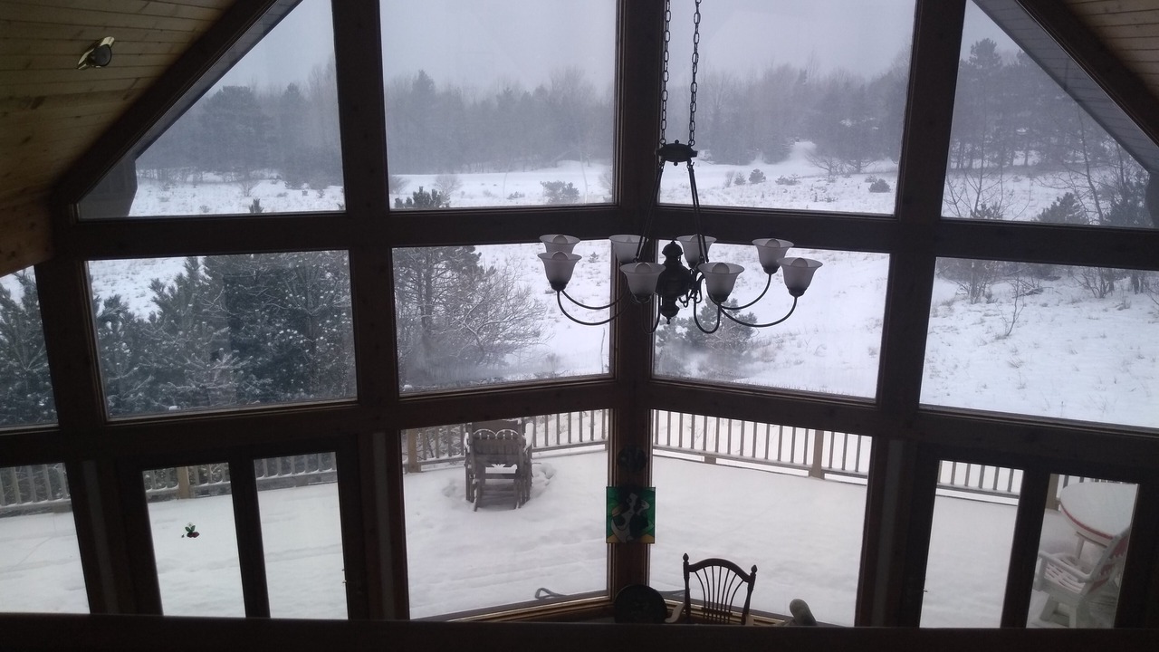 Photo of Outdoor in Arcadia