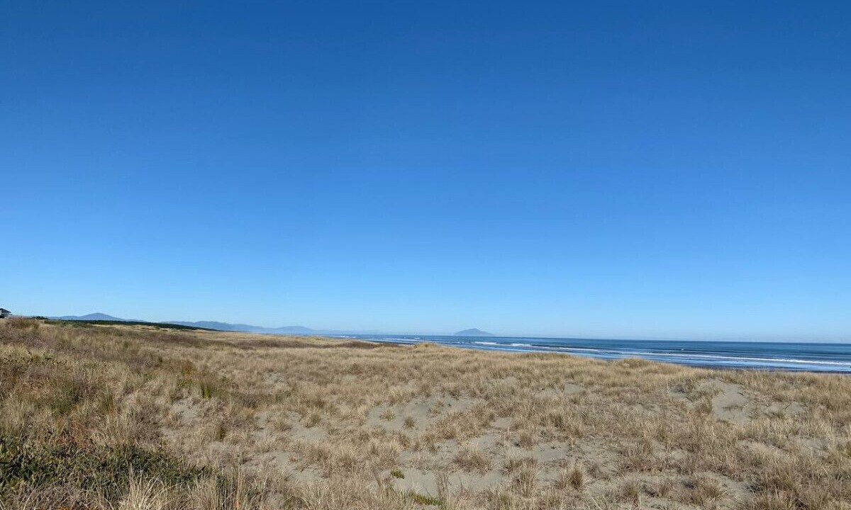 Photo of Others in Manawatu - Wanganui