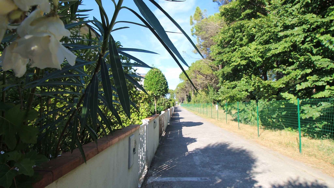 Photo of Outdoor in Eraclea Mare