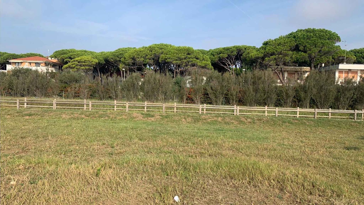 Photo of Outdoor in Eraclea Mare