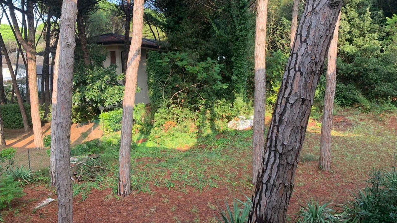 Photo of Outdoor in Eraclea Mare