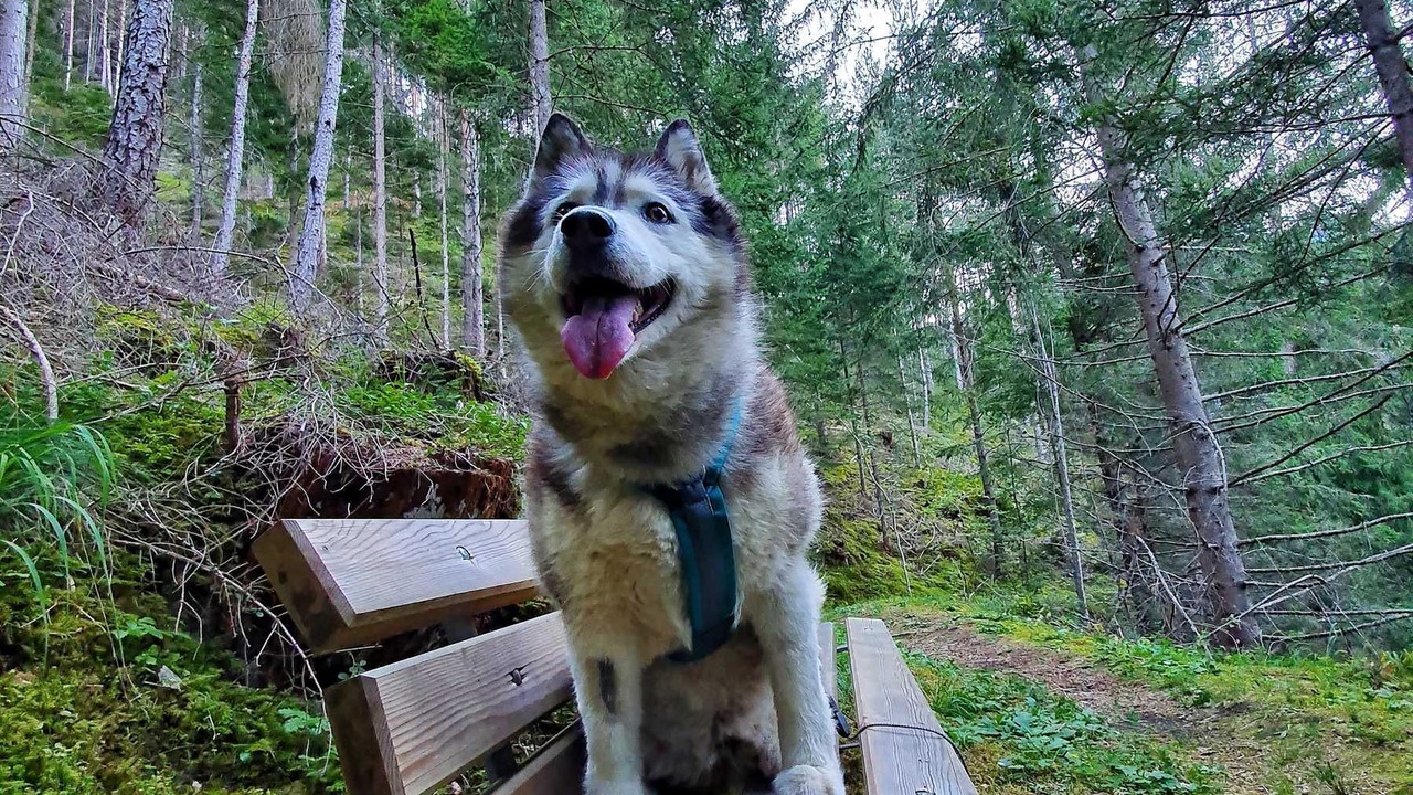 Photo of Outdoor in Prutz