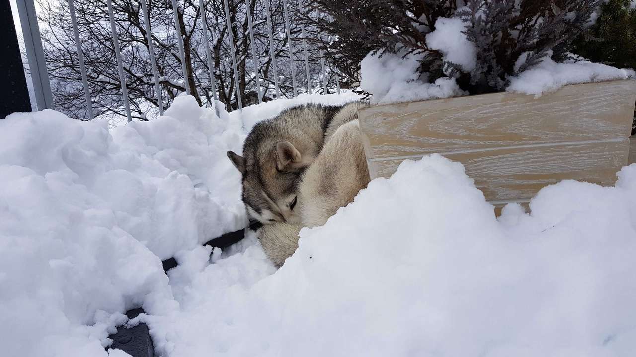 Photo of Outdoor in Prutz