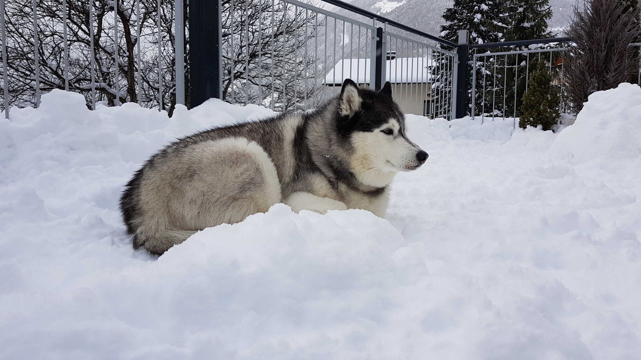 Photo of Outdoor in Prutz