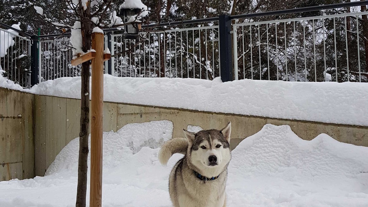 Photo of Outdoor in Prutz
