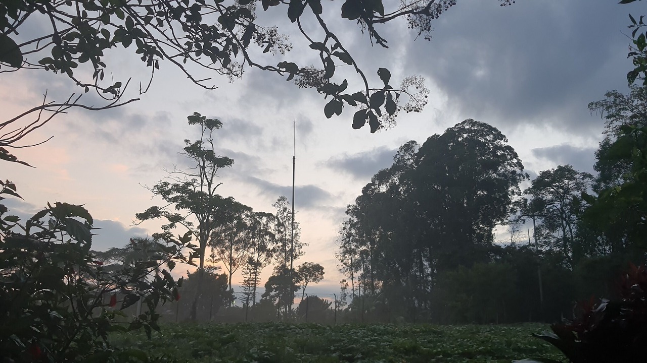 Photo of Outdoor in Quimbaya