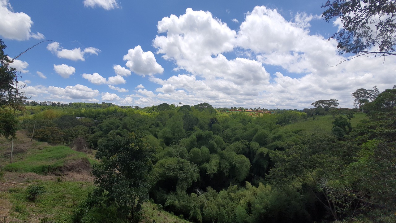 Photo of Outdoor in Quimbaya