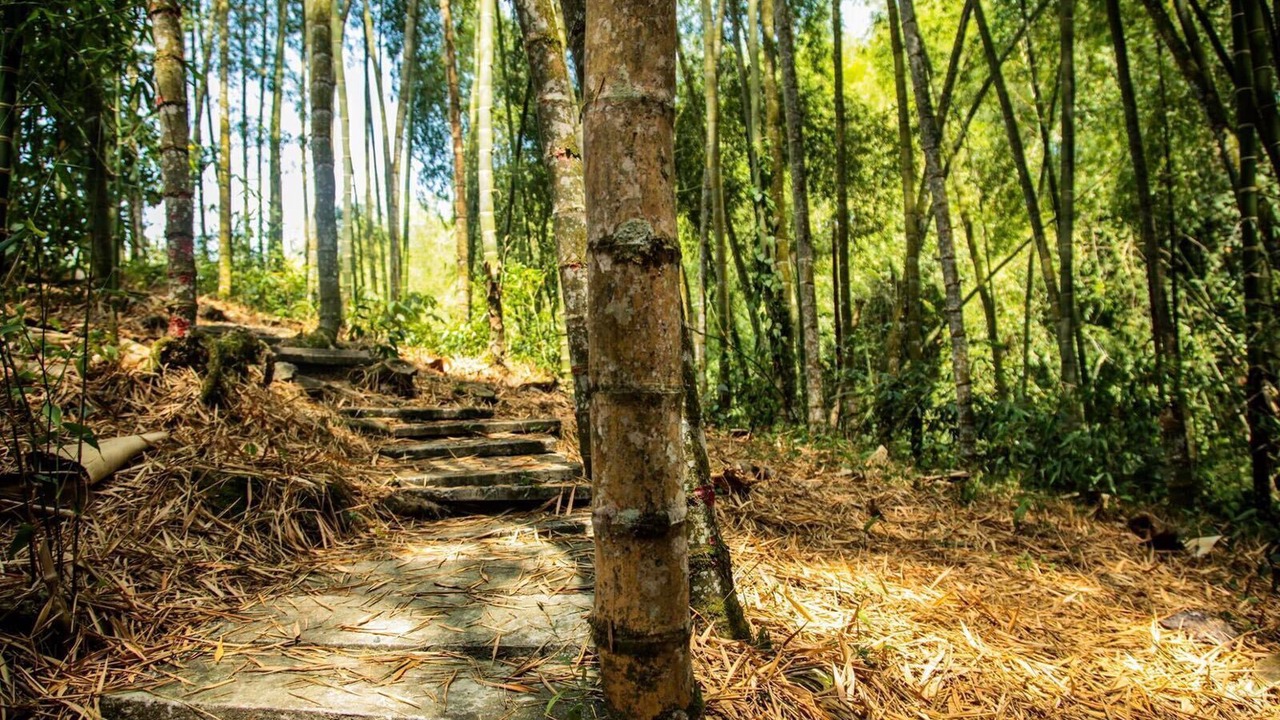 Photo of Outdoor in Quimbaya