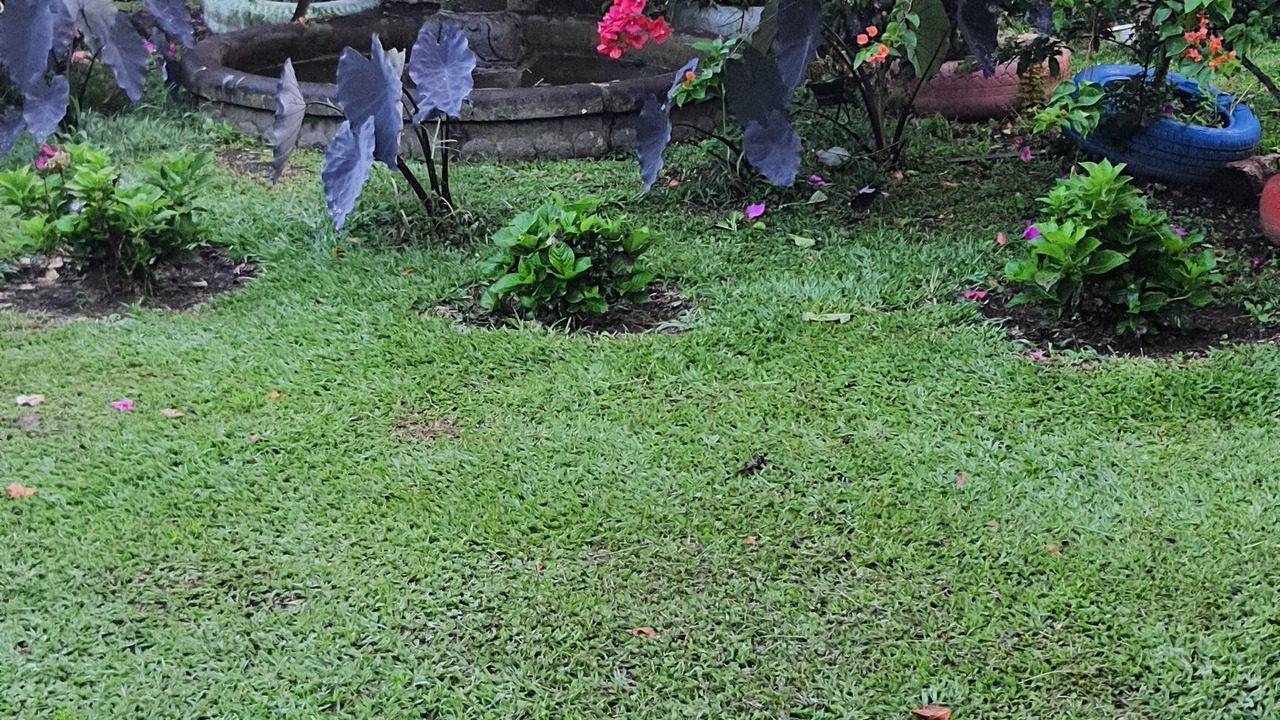 Photo of Outdoor in Quimbaya