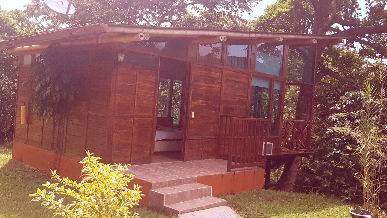 Photo of Outdoor in Quimbaya