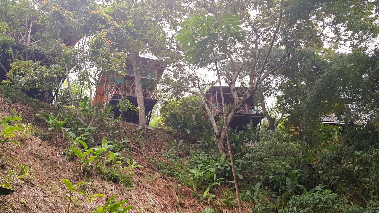 Photo of Outdoor in Quimbaya