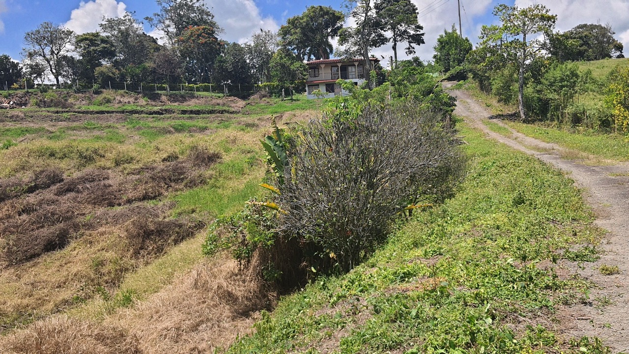 Photo of Outdoor in Quimbaya