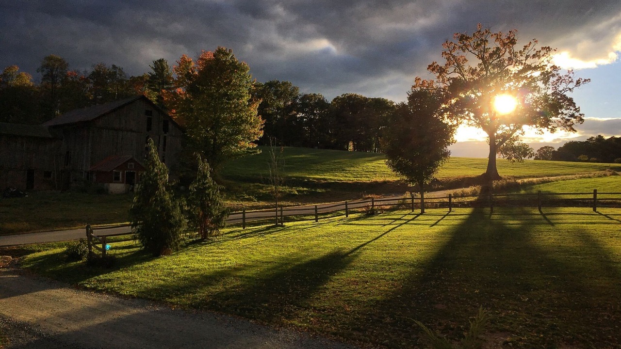 Photo of Outdoor in Narrowsburg