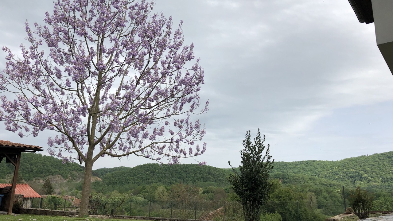 Photo of Outdoor in Tsarevo