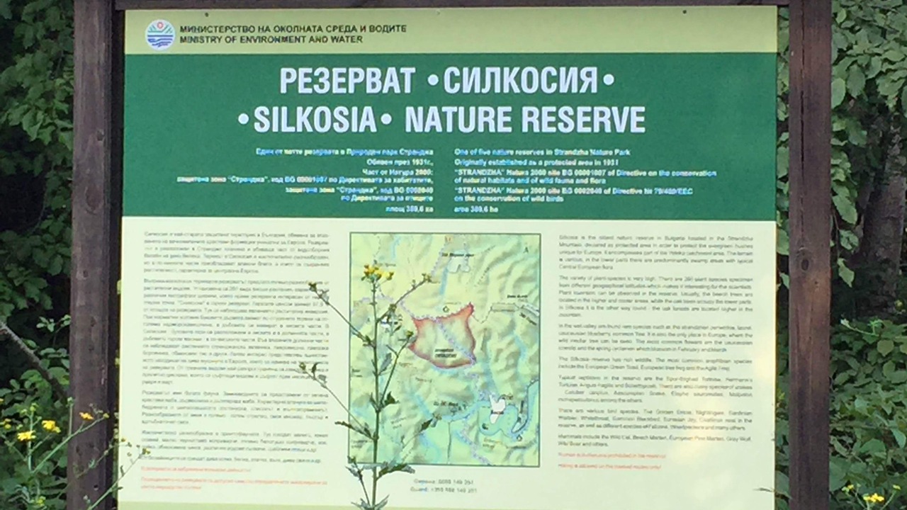 Photo of Outdoor in Tsarevo