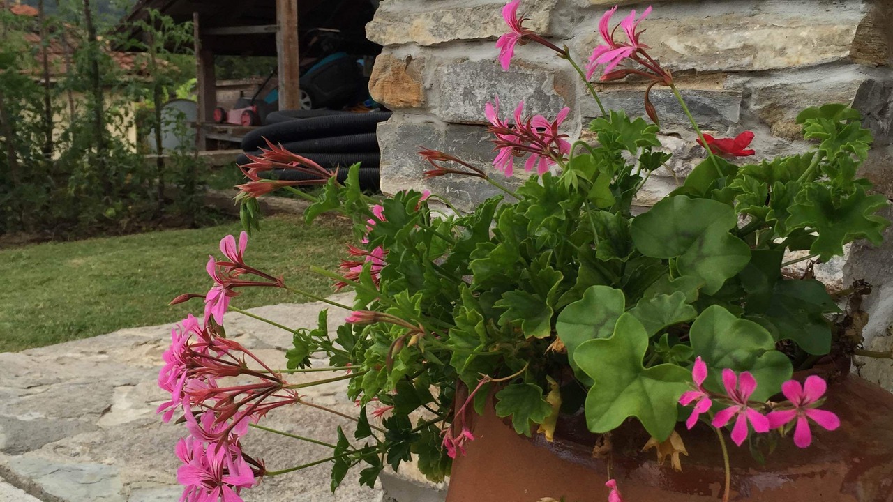 Photo of Outdoor in Tsarevo