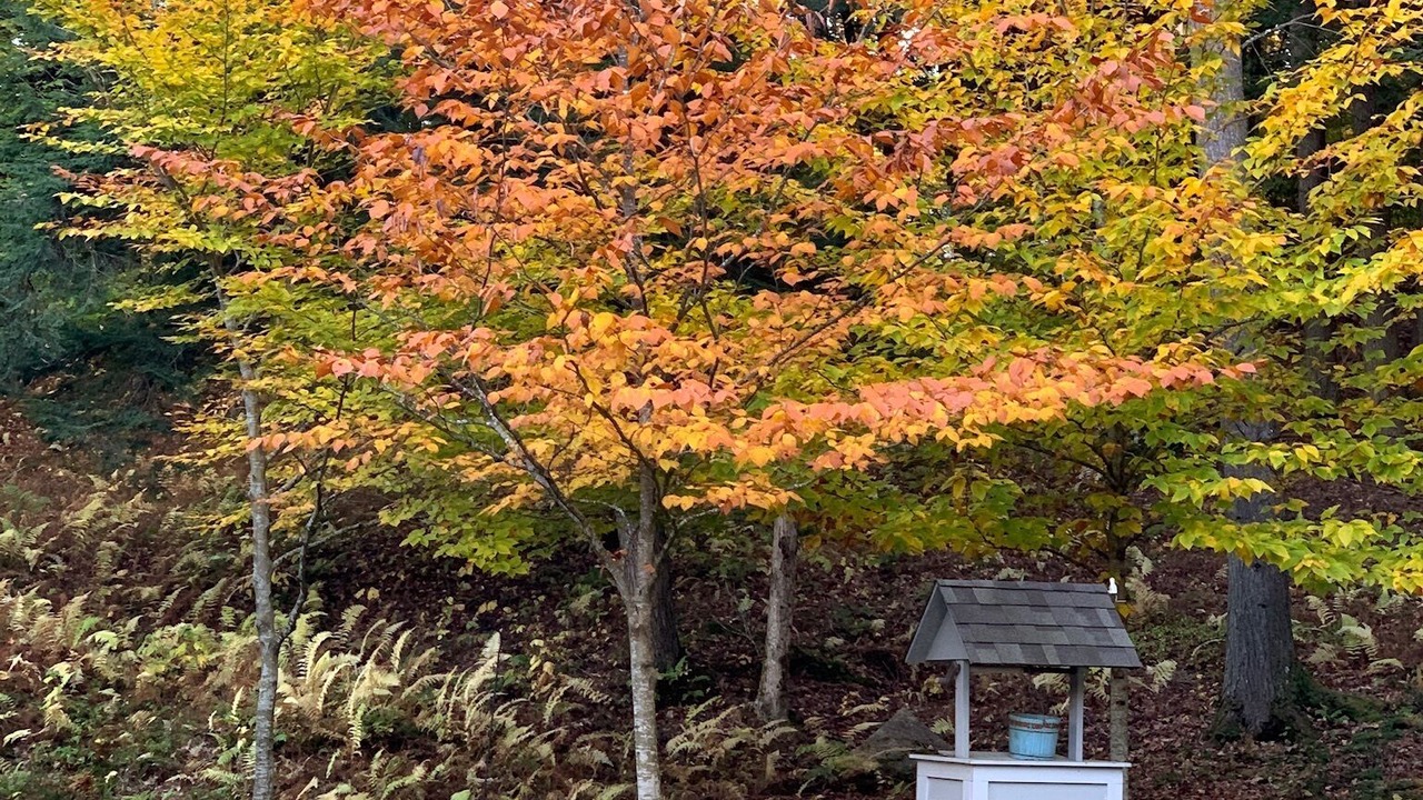 Photo of Outdoor in West Hartford