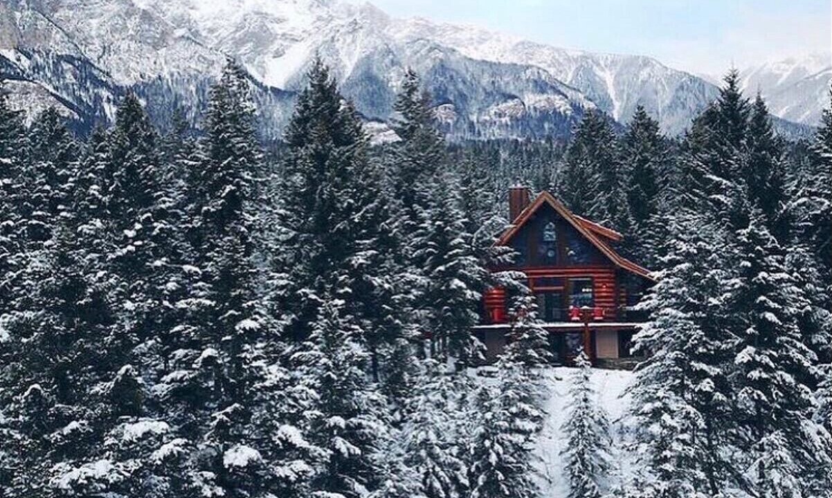 Photo of Outdoor in Golden