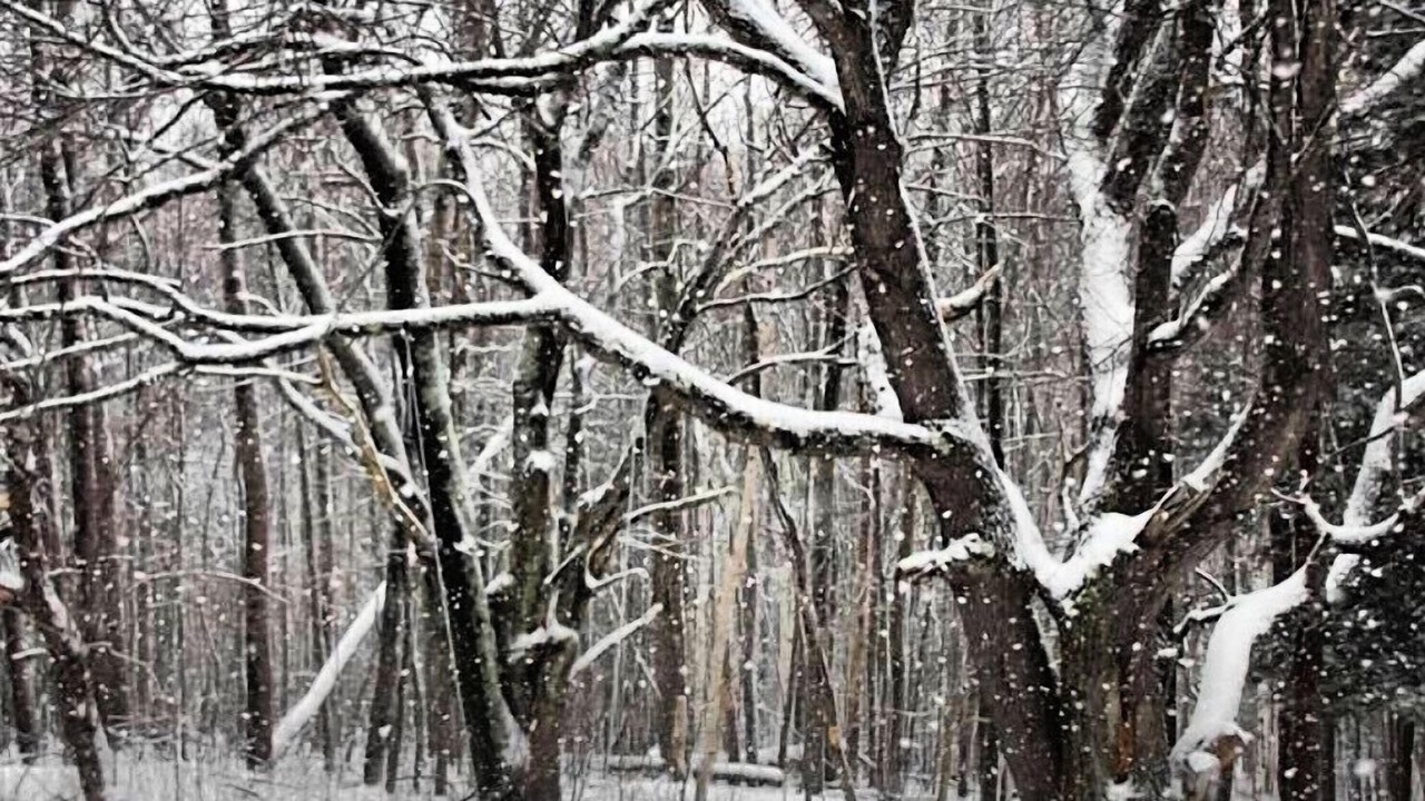 Photo of Others in Pine Hill