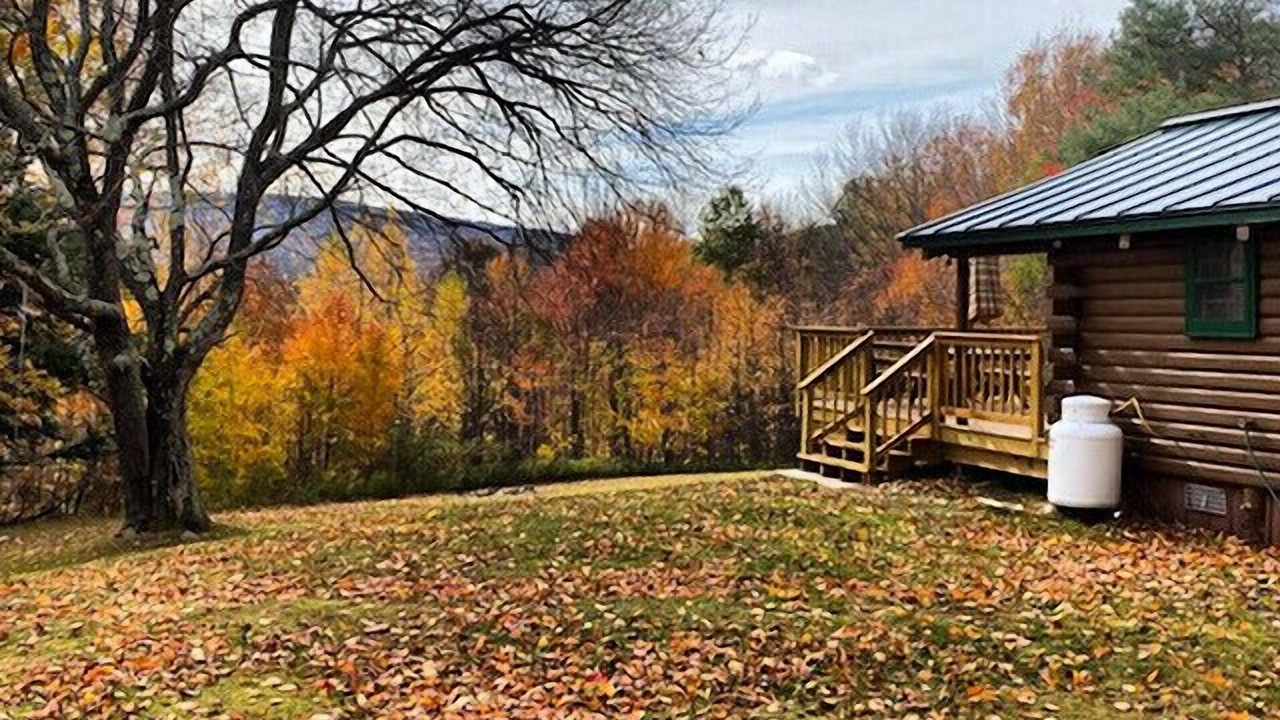 Photo of Outdoor in Pine Hill