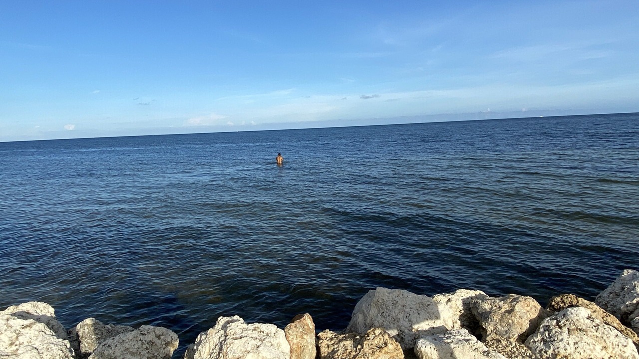 Photo of Others in Key Largo