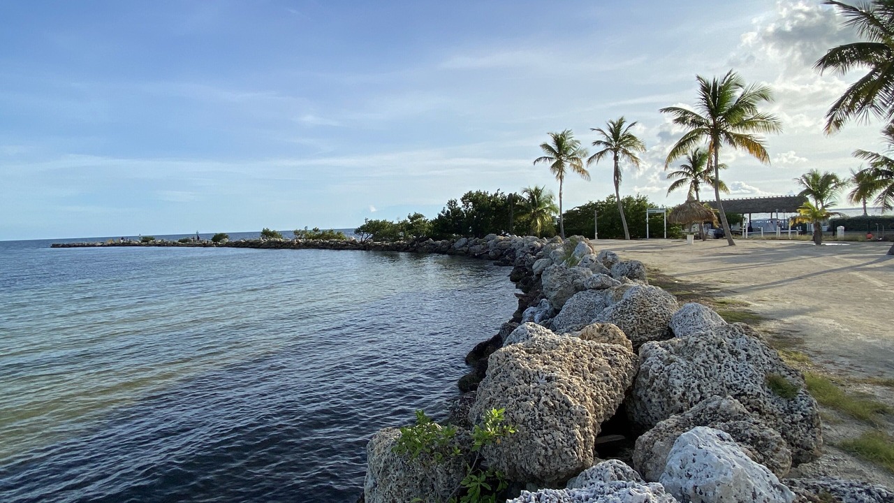 Photo of Others in Key Largo