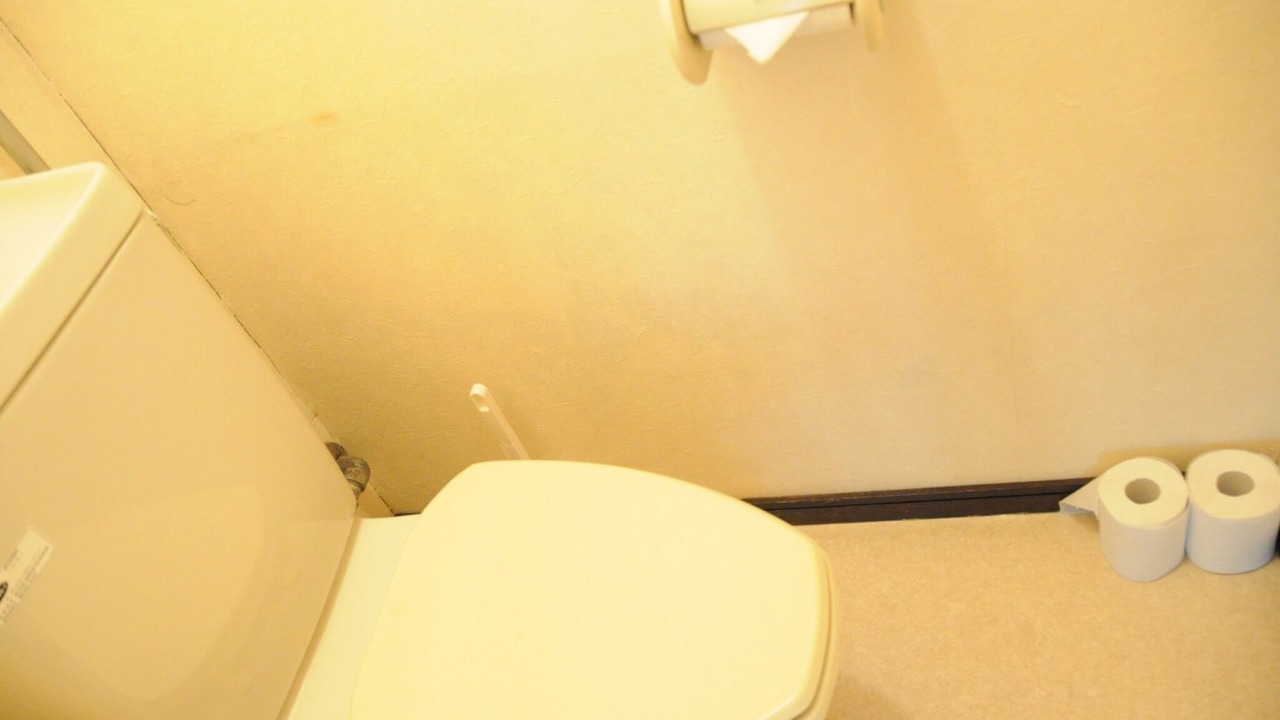 Photo of Bathroom in Asahikawa