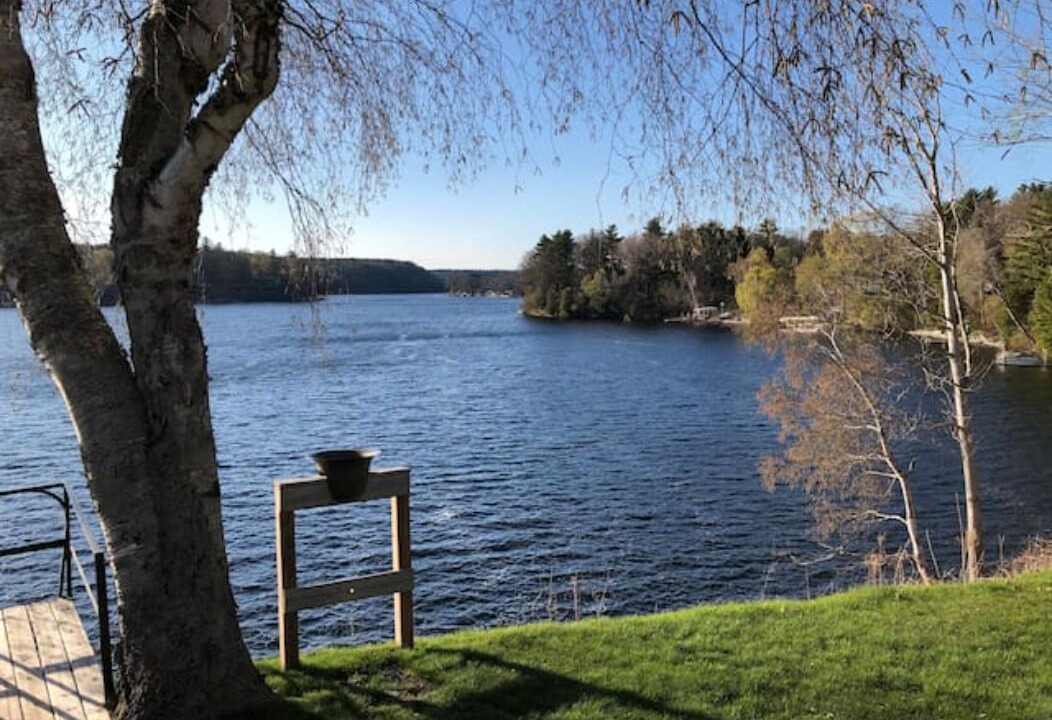 Photo of Outdoor in Newaygo