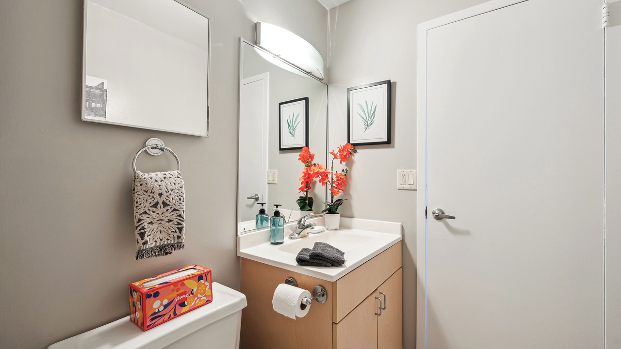 Photo of Bathroom in South Loop