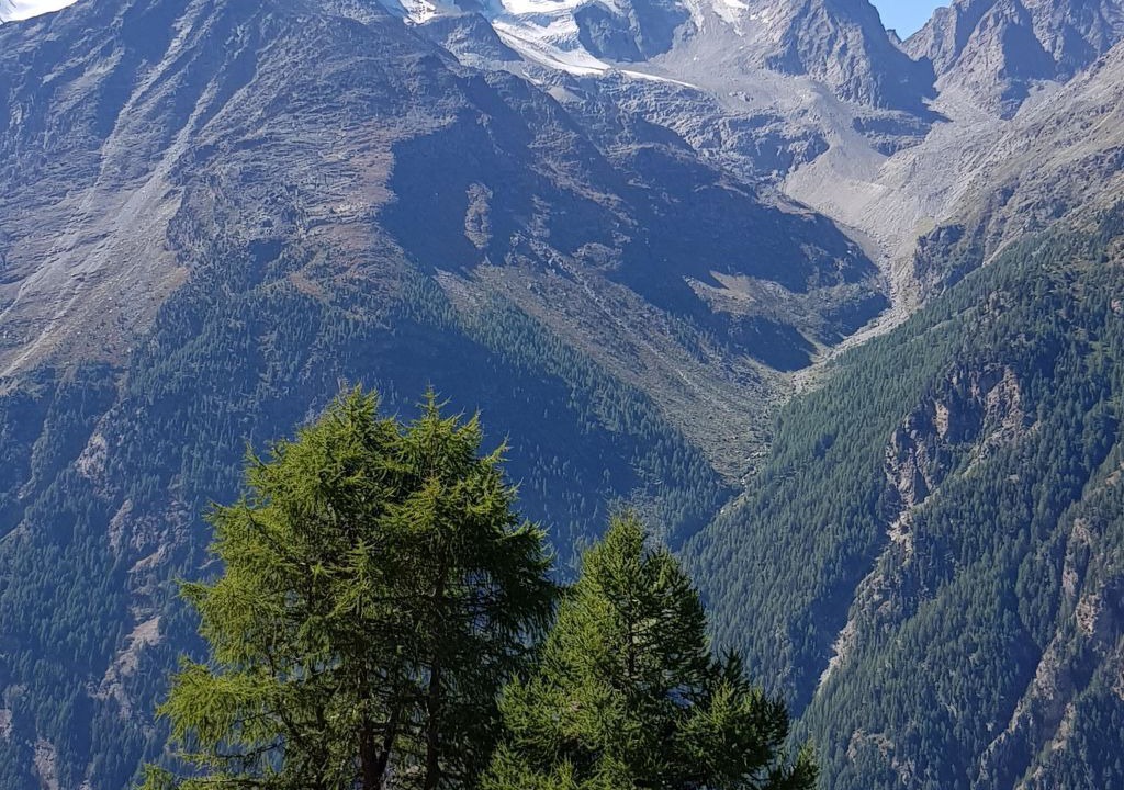 Photo of Others in Saas Grund