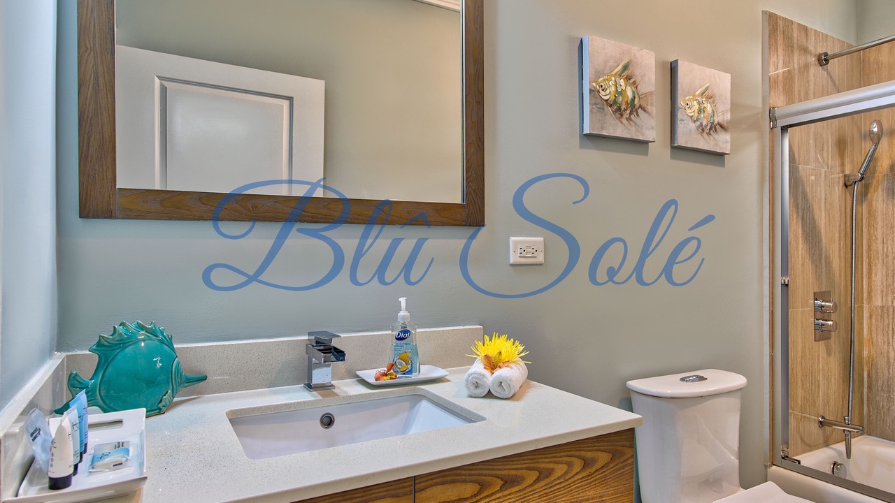Photo of Bathroom in St. Ann's Bay