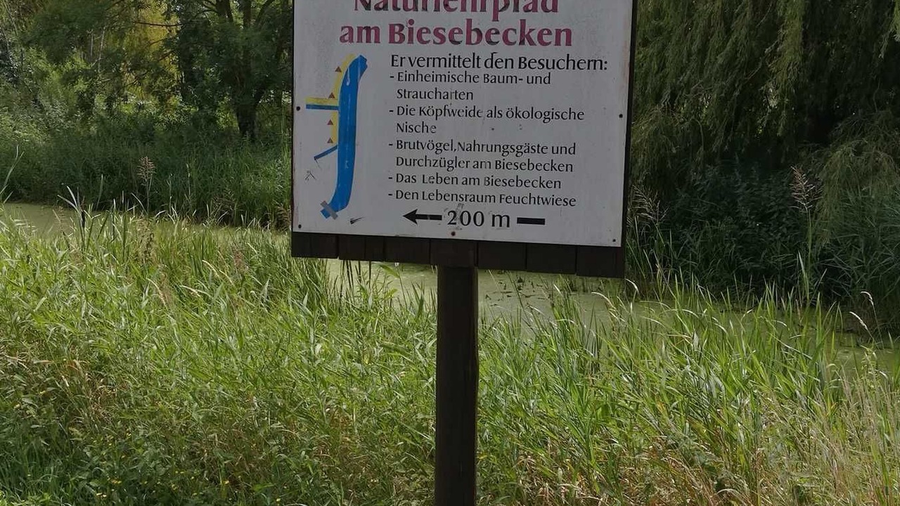 Photo of Others in Osterburg