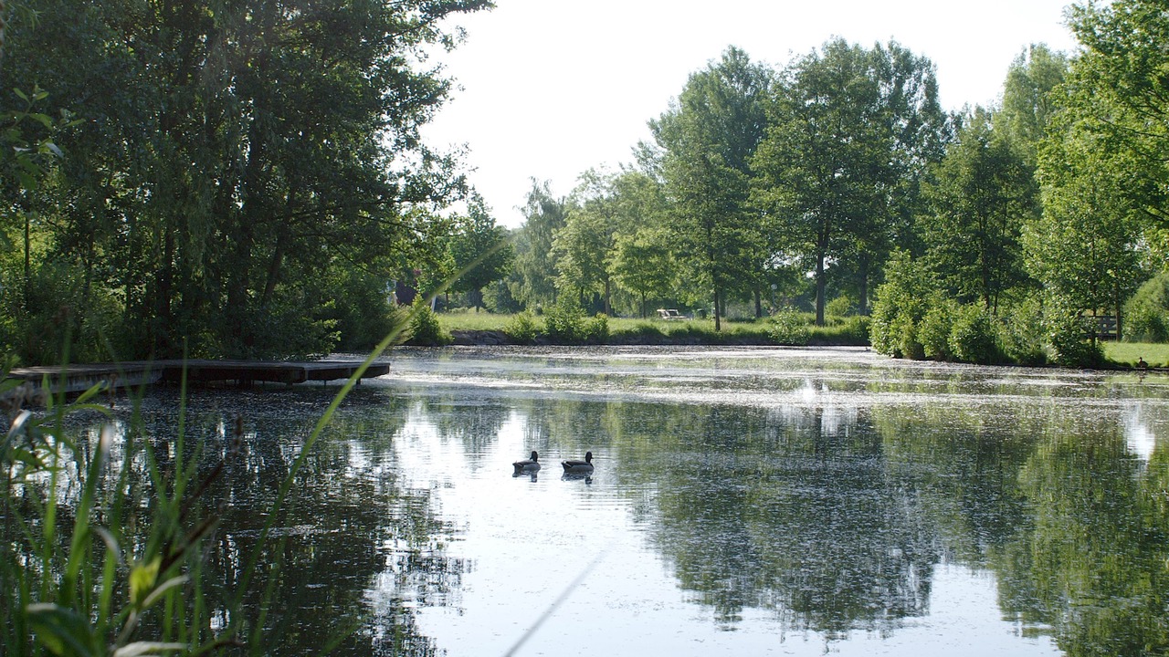 Photo of Outdoor in Bad Rodach